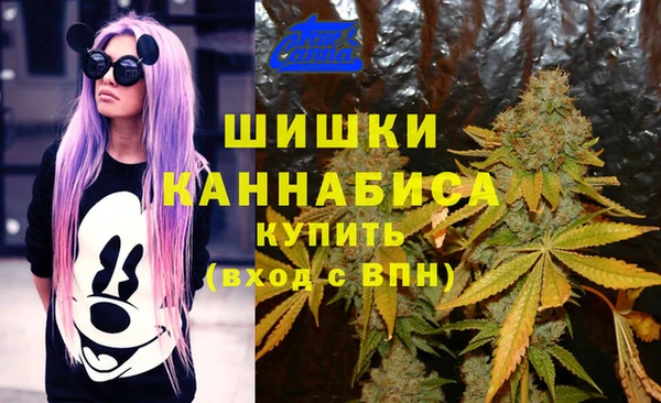гашик Абаза