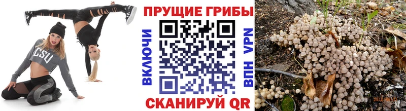 Галлюциногенные грибы мухоморы  Петров Вал 